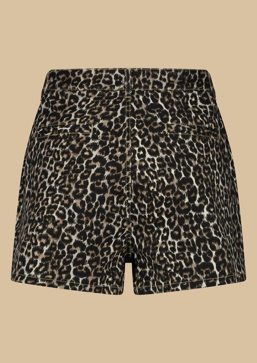 Bailee Short - Sunset Safari
