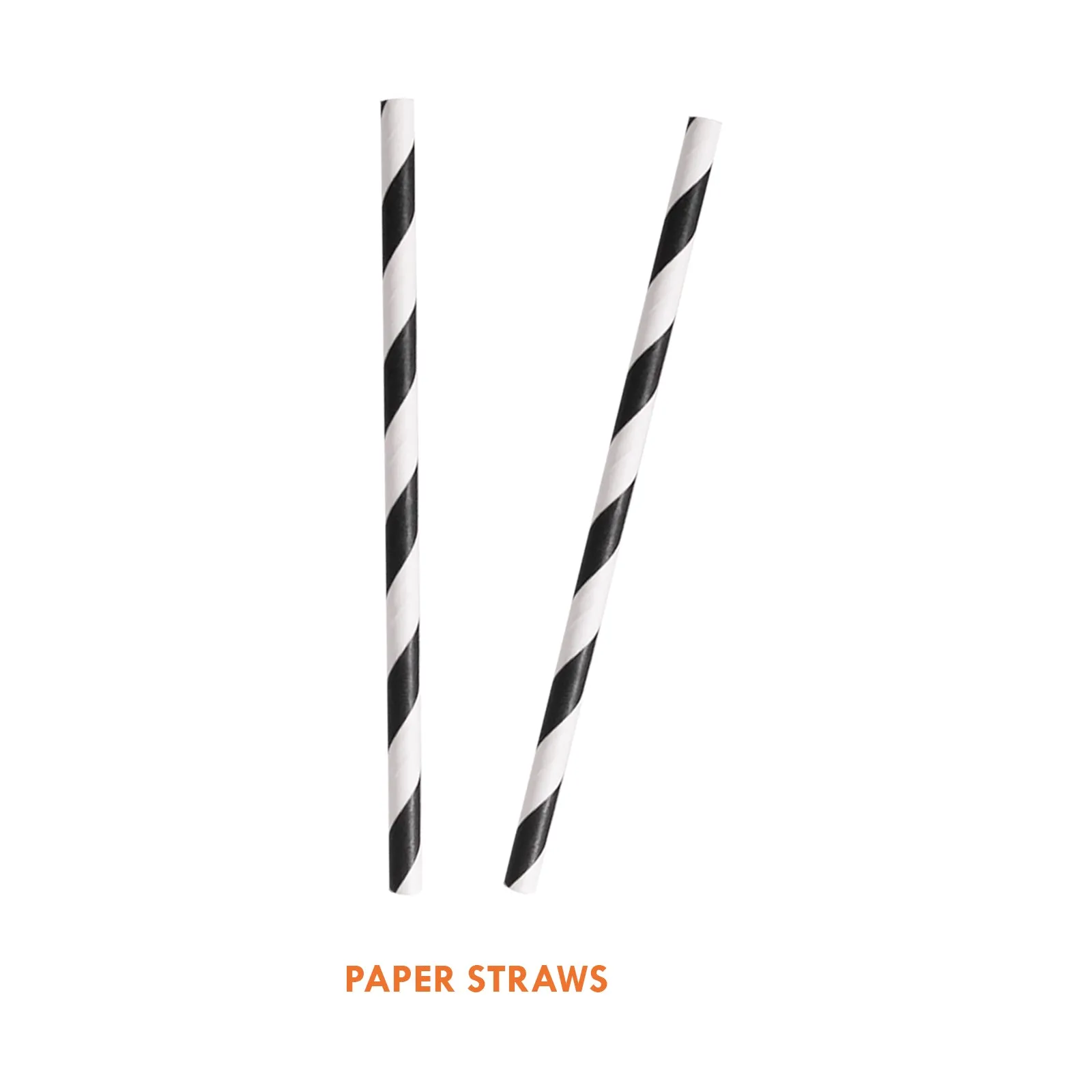 Wild Animal Print Party Supplies - Treat Bags with Striped Paper Straws for 12 Guests